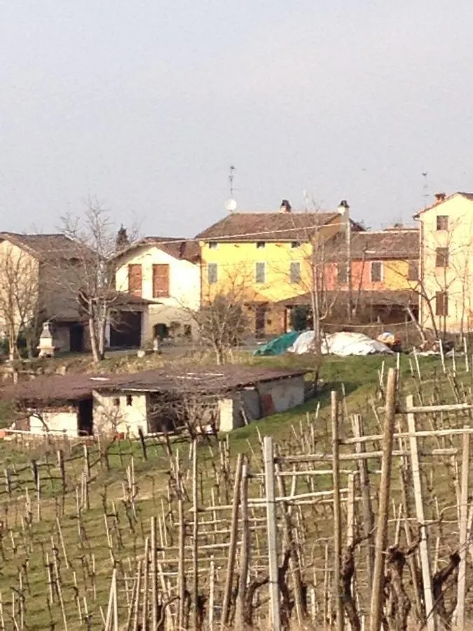 Bed & Breakfast Bed and Breakfast La casa tra i vigneti Montecalvo Versiggia Italia