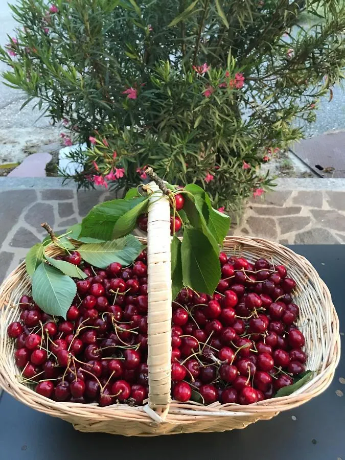 Bed & Breakfast Bed and Breakfast La casa tra i vigneti Montecalvo Versiggia