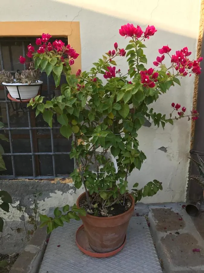 Bed & Breakfast Bed and Breakfast La casa tra i vigneti Montecalvo Versiggia