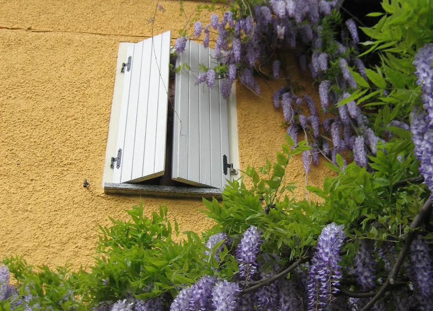 Bed & Breakfast Bed and Breakfast La casa tra i vigneti Montecalvo Versiggia