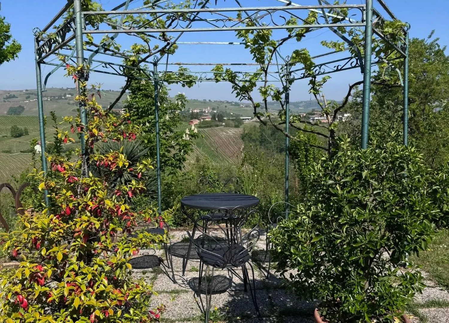 Bed and Breakfast La casa tra i vigneti Montecalvo Versiggia 0*,